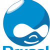 Why Choose Drupal for Your Business