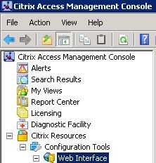 Connect the ipad to citrix console