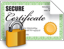 ssl cert image