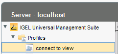 Create View Profile in igel ums